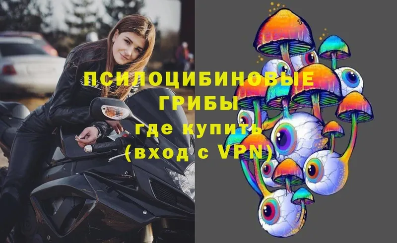 Галлюциногенные грибы Magic Shrooms  Алушта 